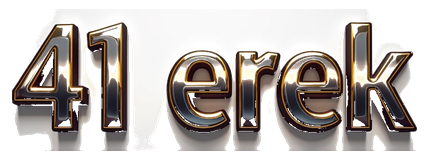 41 erek logo